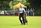 Chapa vom Drachenwolf