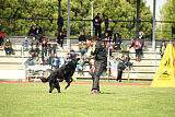 Jarak Perro de la Casa Negra