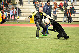 Jarak Perro de la Casa Negra