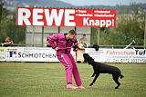 Katha Strophe vom Ravener Forst