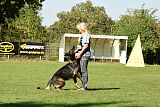 Chitto vom Drachenwolf