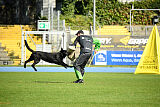 Yack del Lupo Nero