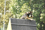Xina von der Rohrbrücke