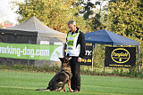 Chapa vom Drachenwolf