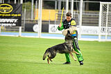 Chapa vom Drachenwolf