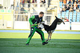 Django Canis Invictus