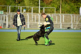 Apache von Artair