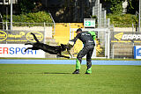 Lennox vom Ecke
