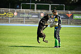 Quincy vom dunklen Zwinger