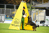 Larcos vom Timmelsjoch