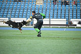 Sato European K9 training Base