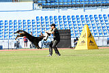 Ares spod Cerenca