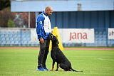 Vikar di Ca'Zars