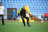 Cafu Yucero Bohemia