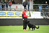 Wilcken Aron