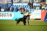 I`Channe Moravia Klenot