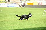 Tokyo von Berg Israel