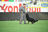 Achiles Iveron