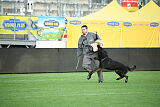 Achiles Iveron
