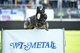 Demonen`s Xtrasalt