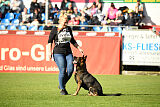 Ares spod Cerenca