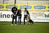 Blondy von Starker Wille