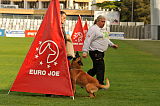 Vandalen's Iroc