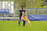 Tämä on Capina