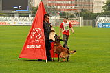 Gamle Bryn av Staalhjerte
