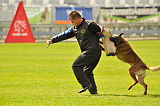 Insane van de Berlex-Hoeve