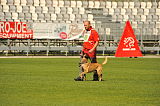 Fox von der schoenen Ecke