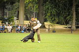 Ron vom Stüffelkopf