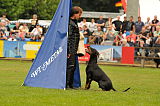 Nino von der Zonser Heide
