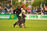 Devon vom Lappwald