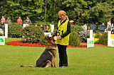 Enjo vom Lappwald