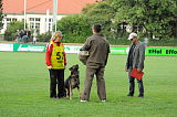 Vaja von den Wölfen