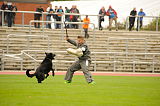 Dax von Alstaden