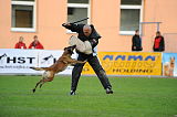 Forta Marko Gero