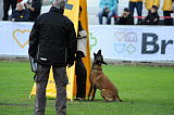 Forta Marko Gero