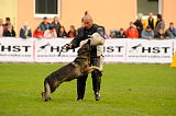 Nederholms Heart van de Flex