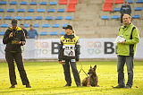 Tammikallion Mysteeri
