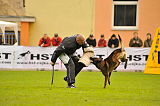 C'Max De La Croisee Des Loups