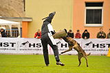 C'Max De La Croisee Des Loups