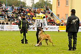 Finni von der Brunnenstadt
