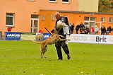 Finni von der Brunnenstadt