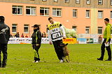 Holle vom Holzhäuser Flur