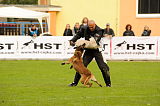 Clash Running Wild