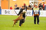 Clash Running Wild