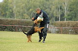 Lulu`s Bolle