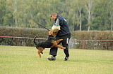 Lulu`s Bolle